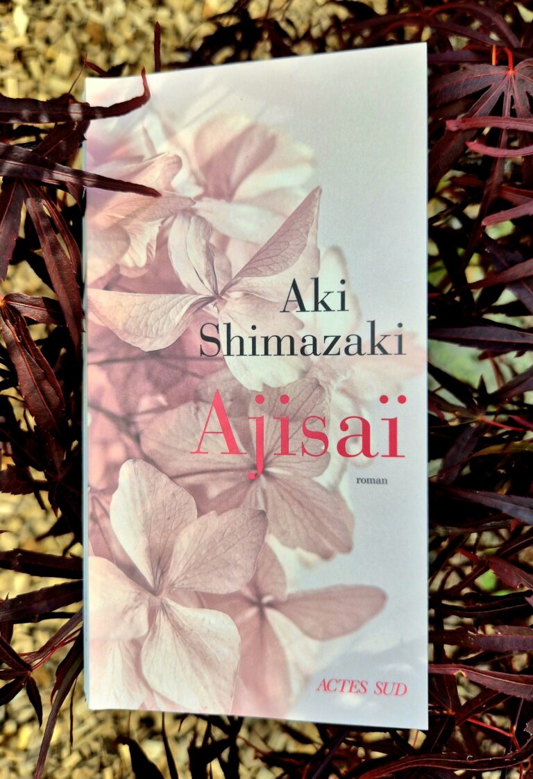 Shima Recto 768x1122